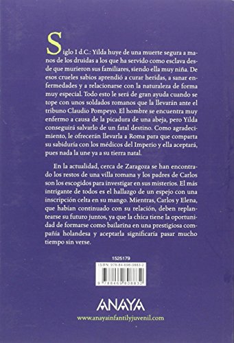 El secreto del espejo (LITERATURA JUVENIL (a partir de 12 años) - Narrativa juvenil)