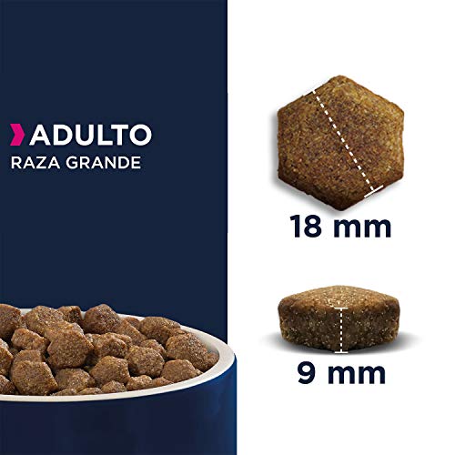 Eukanuba Alimento seco para perros adultos de razas grandes, rico en cordero y arroz, 12 kg