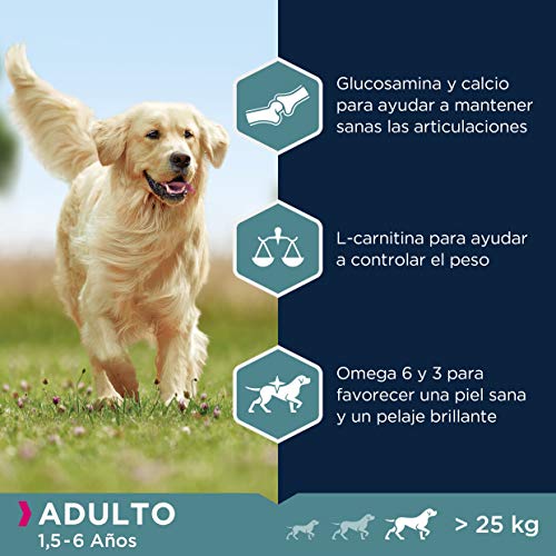 Eukanuba Alimento seco para perros adultos de razas grandes, rico en cordero y arroz, 12 kg