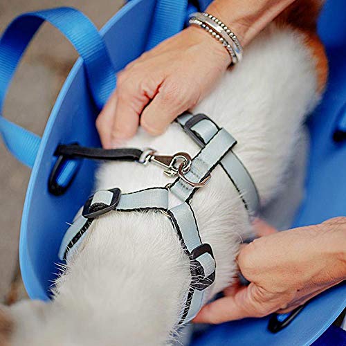 Ferplast Bolso para Transportar Perros de Talla pequeña with-ME, EVA, Suave plástico de Goma, Lavable, Asas Regulables, Correa de Seguridad incluida, 21,5 x 43,5 x h 27 cm Tórtola