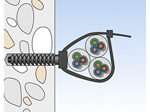 fischer 545787 FTCP - Taco para bridas de cables, color negro, Gris