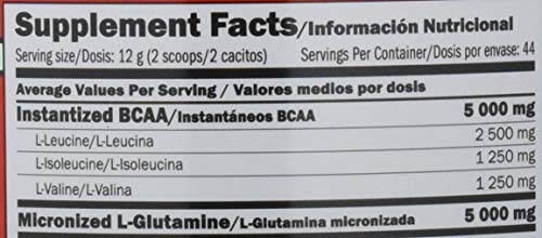 GLUTAMINE+BCAA 530 GR Frutas del bosque