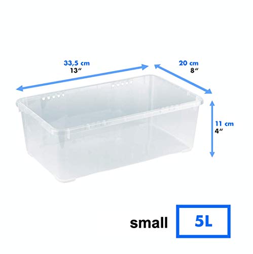 Grizzly 12 x Caja de Almacenaje con Tapa de 5 L - Cajón de Plástico Transparente Apilable - Caja Multiusos Organizador de Armarios para Ordenación de Ropa