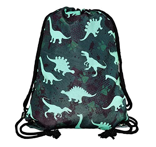 HECKBO Bolsa de gimnasia para niños - impresa por ambos lados con motivos de dinosaurios - 40x32cm - para kindergarten, cuna, viajes, deportes - mochila, bolsa de juego, bolsa de deporte, bolsa de za