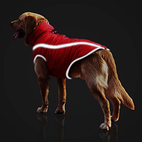 Idepet Impermeable Abrigo para perros Chaqueta abrigadora de invierno, Ropa impermeable para perros al aire libre Traje Chaleco para perros pequeños medianos grandes con orificio para arnés