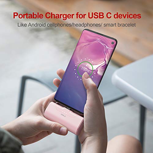 iWALK USB Banco de Energía, 4500mAh Cargador USB Portable C Pack de Batería, Compatible con Samsung Galaxy S10, S9, S8, Note 10/9/8, Switch, Smartphones Android