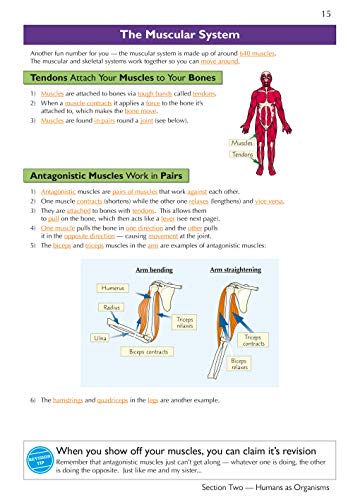 KS3 Science Complete Study & Practice - Higher (with Online Edition): Complete Revision and Practice (Complete Revision & Practice)