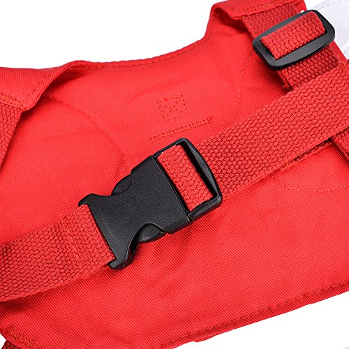 Locisne Mochila de arnés de seguridad de 2 paquetes,Angel Wings Baby Kids Mochila anti-perdida Mini bolsa viaje de seguridad Mochila paseo para niños pequeños,arnés seguridad con correa seguridad