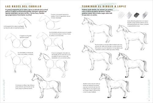 Los Cuadernos Del Dibujante. Caballos Y Ponis: 50 modelos para empezar