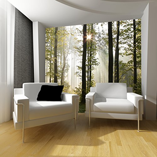 murimage Papel Pintado Bosque 274 x 254 cm Incluyendo Pegamento Fotomurales Vista 3D Madera árboles luz del Sol Living Sala