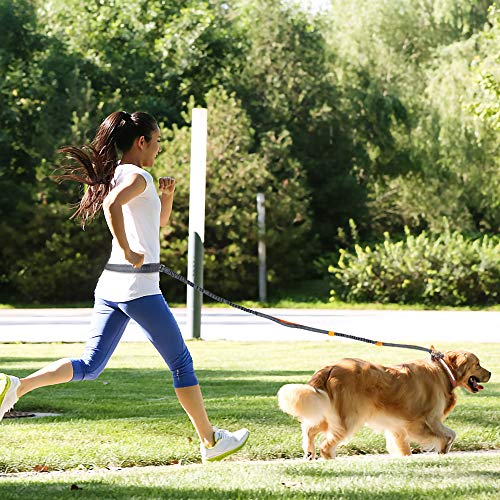 Mystery Correa para Perros Manos libres, Ajustables y Elásticas Correas para Correr Con Costuras Reflectantes para Perros de hasta 110 kg