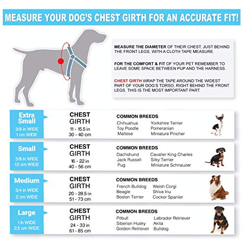 Pawtitas Adiestramiento Arnés para Perro o Cachorro Reflectante | Arnes Perro Antitirones | Arneses para Perro para Entrenamiento - Arnes Perro XS Extra Pequeño Negro