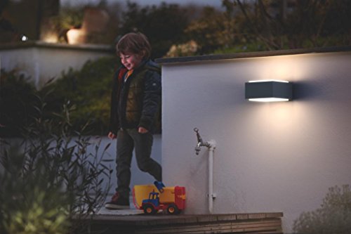 Philips myGarden Hedgehog Aplique exterior, resistente a la intemperie, en aluminio, color antracita, IP44