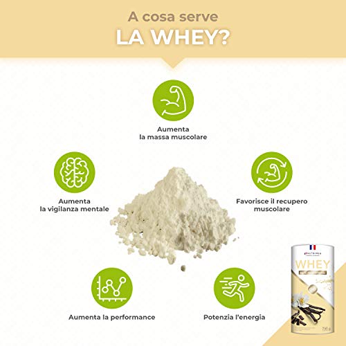 Proteína Whey en Polvo - Suero de leche - Para Entrenar, el Crecimiento Muscular, el Rendimiento, la Recuperación - Sabor a Vainilla - 26 g de proteína por porción - Nutrimea - Fabricado en Francia