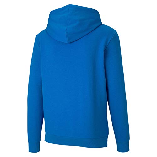 PUMA Teamgoal 23 Causals Hoody Sudadera, Hombre, Electric Blue Lemonade, M