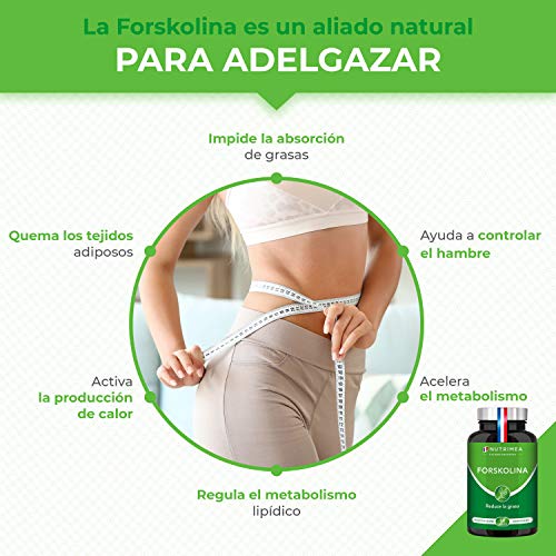 Quemagrasas Natural Adelgazante Termogenico Adelgazar Potente Forskolina Fat Burner Natural Acelera el Metabolismo Capsulas vegetales Fabricado en FRANCIA - Perder Peso Rapido SIN Efecto Rebote !!