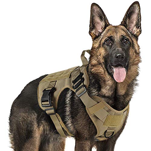 rabbitgoo Arnes Perro Grande No-Pull Arnes Perro Antitirones Táctico de Malla Transpirable Chaleco para Entrenamiento con 2 Anillos Ajustable con Sistema Molle para Entrenar Caminar Cazar Marrón L