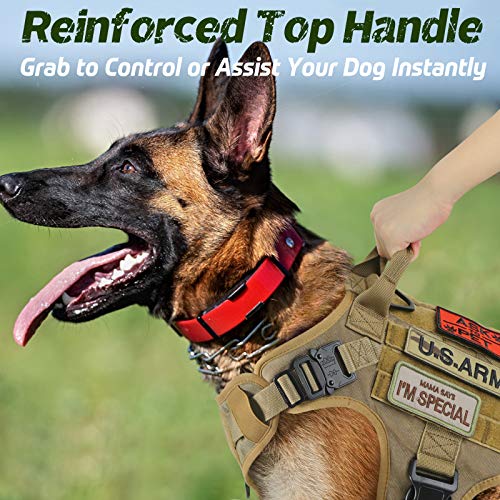 rabbitgoo Arnes Perro Grande No-Pull Arnes Perro Antitirones Táctico de Malla Transpirable Chaleco para Entrenamiento con 2 Anillos Ajustable con Sistema Molle para Entrenar Caminar Cazar Marrón L