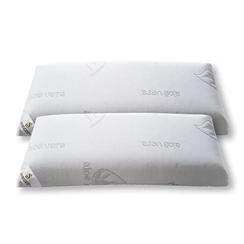 Seasons-Pack 2 almohadas viscoelasticas 70 cms, Antiácaros y Antibacterias , tejido Aloe vera hilo de plata.Doble funda