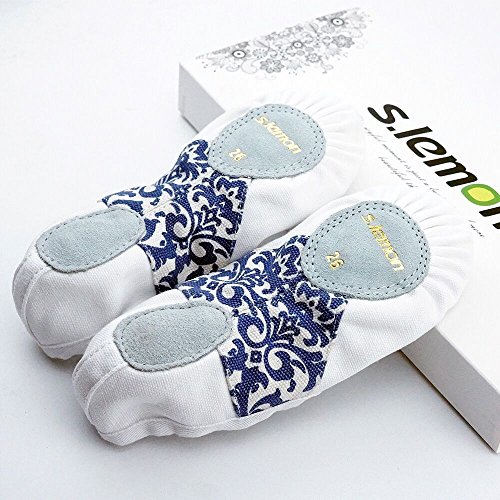 s.lemon Zapatillas de Ballet Media Punta Ballet Zapatos Bailarina Principiantes Danza Zapatos Flor Azul Y Blanca (Blanco, 39EU)