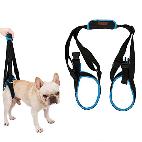 Tineer Dog Lift Arnés para piernas traseras Soporte para Mascotas Arnés Cabestrillo Trasero Ayuda Piernas débiles Levántate Soporte Arnés de Equilibrio para Artritis Rehabilitación Perros (XL)