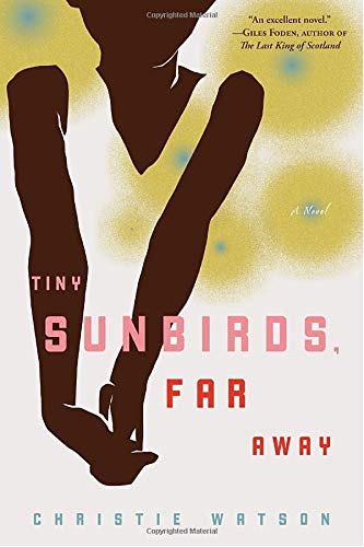 Tiny Sunbirds, Far Away