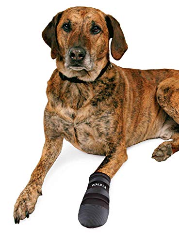 TRIXIE 2 Botas Protectoras Walker, Neopreno, Perros, M, Negro, Perro