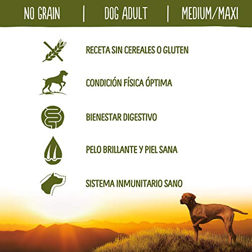 True Instinct No Grain - Nature's Variety - Pienso sin Cereales para Perro Adult Medium-Maxi con Salmón - 12kg