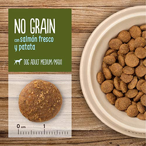 True Instinct No Grain - Nature's Variety - Pienso sin Cereales para Perro Adult Medium-Maxi con Salmón - 12kg