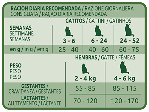 ultima Pienso para Gatos Junior de 2 a 12 Meses con Pollo, Pack de 6 x 400 gr - Total 2.4 kg