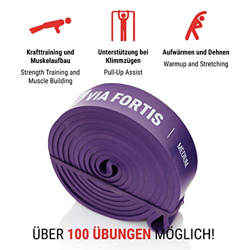 VIA FORTIS Banda Elástica de Resistencia Cuerda de Fuerza para Fitness, Crossfit, Pilates, Estiramientos| Incluye Bolsa de Transporte | 5 Niveles de Resistencia Diferentes (3 - Medium (Morado))