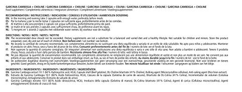 Vitamaze® Garcinia Cambogia Extracto con Colina, como Inhibidor del Apetito, y Cápsulas Quemadoras de Grasa, 240 Cápsulas para 2 Meses, Suplementos Pura sin Aditivos Innecesarios