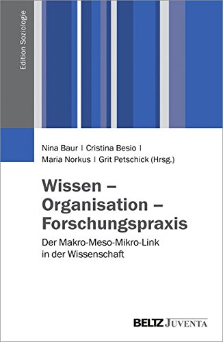 Wissen - Organisation - Forschungspraxis: Der Makro-Meso-Mikro-Link in der Wissenschaft