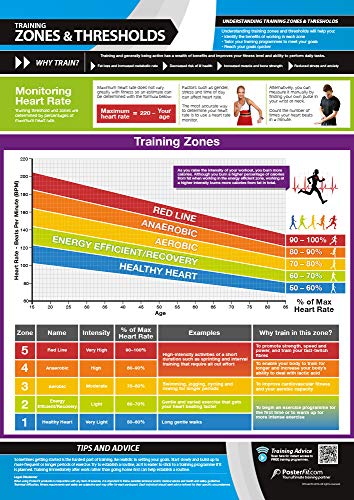 Zonas y umbrales de entrenamiento | Póster laminado para el hogar y el gimnasio | Soporte de entrenamiento en vídeo en línea gratuito | Tamaño – 594 mm x 420 mm (A2) | Mejora el estado físico personal