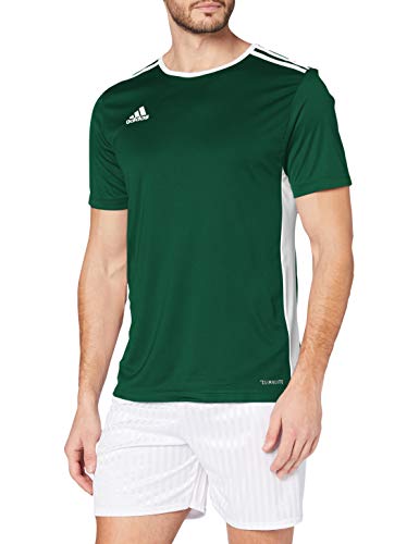 adidas Entrada 18 JSY T-Shirt, Hombre, Collegiate Green/White, XL