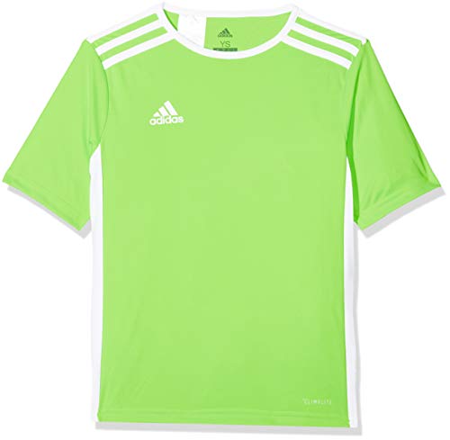 adidas Entrada 80 Camiseta de Fútbol para Hombre de Cuello Redondo en Contraste, Verde (Solar Green/White), M