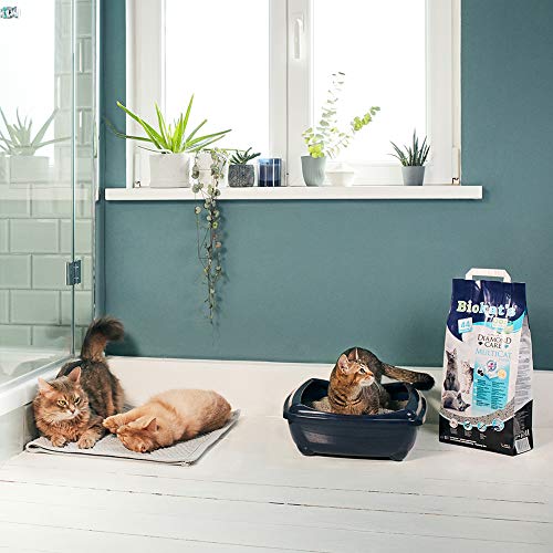 Biokat's Diamond Care MultiCat Fresh, con fragancia - Arena fina con carbón activo para hogares en los que viven varios gatos 1 saco (1 x 8 l)