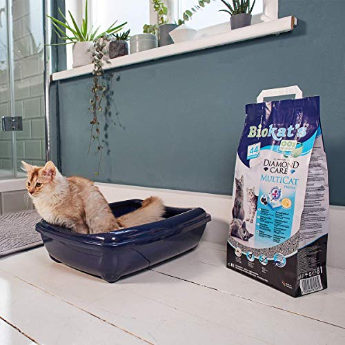 Biokat's Diamond Care MultiCat Fresh, con fragancia - Arena fina con carbón activo para hogares en los que viven varios gatos 1 saco (1 x 8 l)