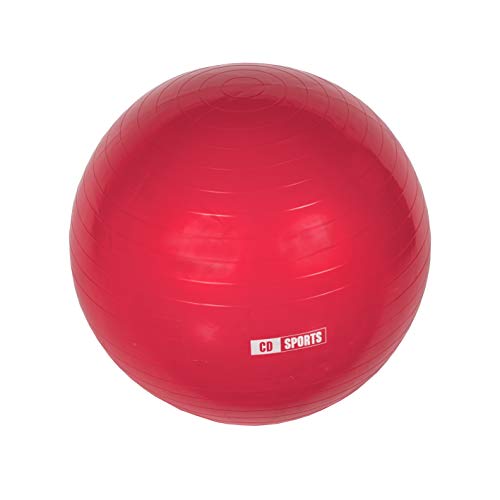 Calma Dragon Pelota de Pilates 55cm / 65cm / 75cm Diámetro, Balón para Embarazadas, Fitball, con Inflador Incluido, Bola Grande para Yoga, Gimnasia, Fitness (Rojo, 55)