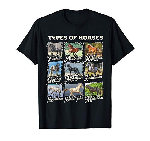 Camiseta de caballo Tipos de razas de caballos Cabalgata Camiseta