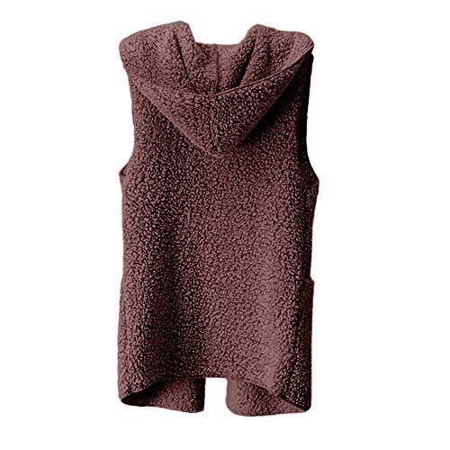 Chaleco para Mujer Calentar Abrigo con Capucha de Abrigo de Invierno Abrigo Informal Chaqueta de Abrigo Chaleco sin Mangas de Felpa con Capucha Outwear riou