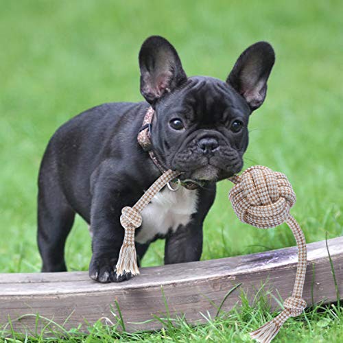 FONPOO Juguetes para Perros,Hecha de Algodón y Cuerda de Nylon Seguro Sano Juguete Interactuar Adecuado para Medianos Juguetes Perros pequeños