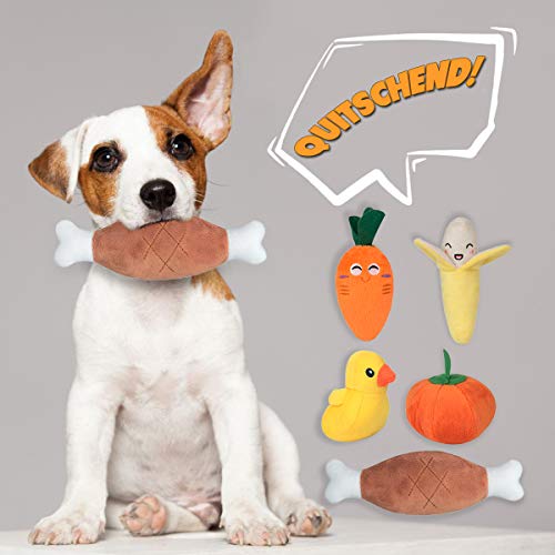 FONPOO Juguetes Perro,Hecho de La Correa de Perro de Frutas y Verduras Reducir el Aburrimiento del Perro y Masajear la Salud de Las Encías PelucheJjuego de 10 Piezas para Regalo de Perro