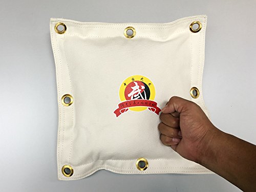 Hotour Man Wing Chun Kung Fu - Bolsa de lona para pared de boxeo