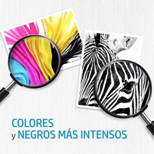 HP 300 CN637EE, Pack de 2, Cartuchos de Tinta Originales Negro y Tricolor, compatible con impresoras de inyección de tinta HP DeskJet D2560, D2660, F4280, F4224, F4283; Photosmart Serie C