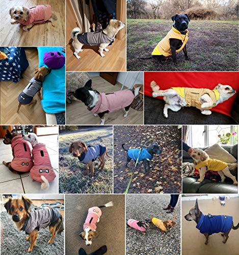 Idepet Chaqueta impermeable para perros Chaqueta cálida de invierno Chaleco, traje de nieve a prueba de viento Ropa para perros Chaleco para mascotas Ropa para perros con orificio para arnés