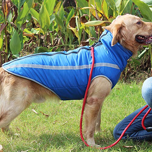 Idepet Impermeable Abrigo para perros Chaqueta abrigadora de invierno, Ropa impermeable para perros al aire libre Traje Chaleco para perros pequeños medianos grandes con orificio para arnés