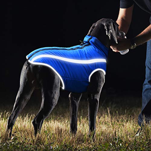 Idepet Impermeable Abrigo para perros Chaqueta abrigadora de invierno, Ropa impermeable para perros al aire libre Traje Chaleco para perros pequeños medianos grandes con orificio para arnés