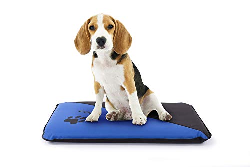 Mr.Doggy Colchoneta Personalizada para Perros - Impermeable y Resistente - Colchón para Perro Grande, Pequeño y Mediano - Exterior e Interior - Cama Antimordeduras (L (105x75x6cm), Azul)