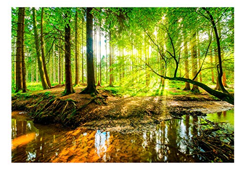 murando Fotomurales 300x210 cm XXL Papel pintado tejido no tejido Decoración de Pared decorativos Murales moderna de Diseno Fotográfico Bosque Naturaleza c-B-0241-a-a